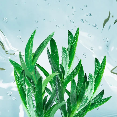 Yves Rocher Hydra Végétal Intenzív Hidratáló Arcpakolás 75ml