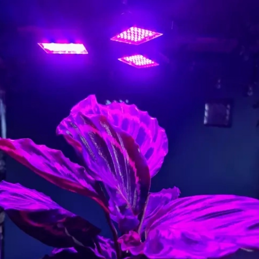 108LED-es háromágú kihajtható növénynevelő lámpa, E27, LED UV fény
